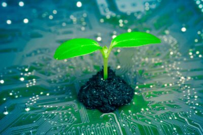 Why Green IT Isn’t Just Nice to Have, It’s Business Survival